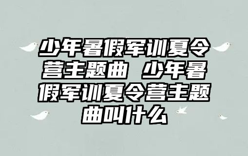 少年暑假军训夏令营主题曲 少年暑假军训夏令营主题曲叫什么