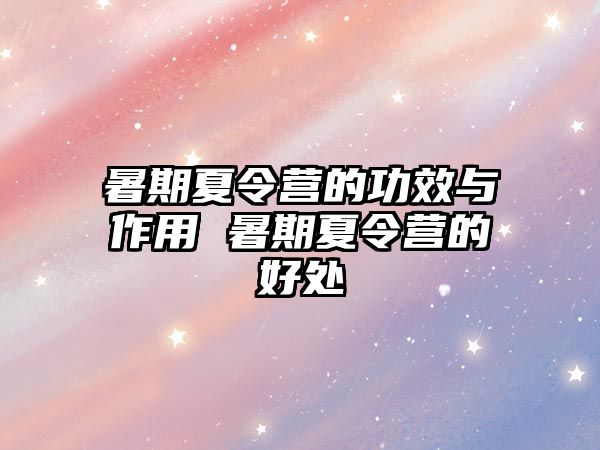 暑期夏令营的功效与作用 暑期夏令营的好处