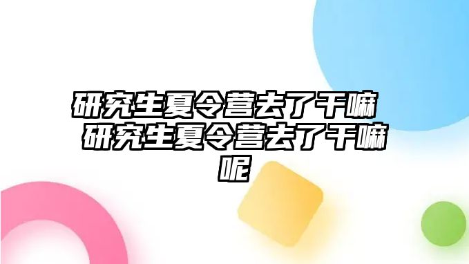 研究生夏令营去了干嘛 研究生夏令营去了干嘛呢