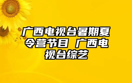 广西电视台暑期夏令营节目 广西电视台综艺