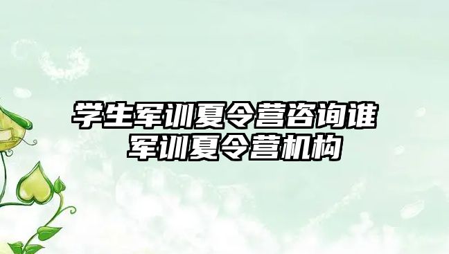 学生军训夏令营咨询谁 军训夏令营机构