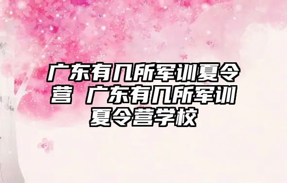 广东有几所军训夏令营 广东有几所军训夏令营学校