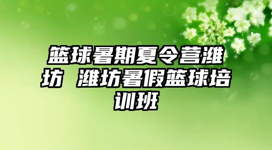 篮球暑期夏令营潍坊 潍坊暑假篮球培训班