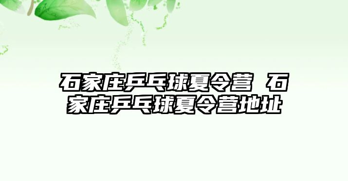 石家庄乒乓球夏令营 石家庄乒乓球夏令营地址