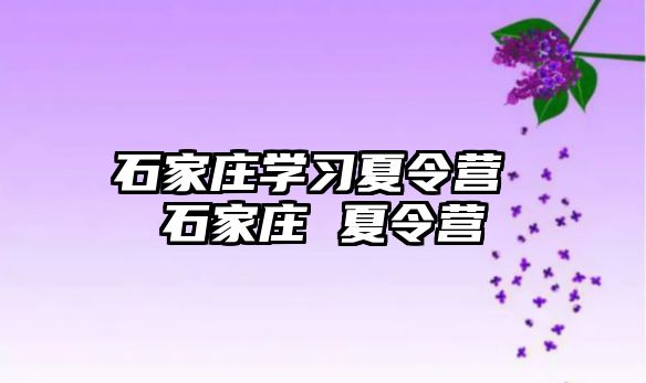 石家庄学习夏令营 石家庄 夏令营