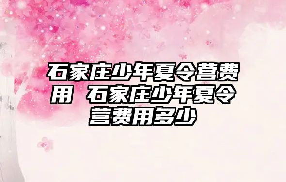 石家庄少年夏令营费用 石家庄少年夏令营费用多少