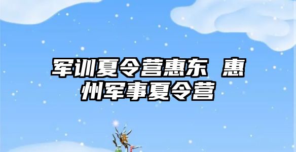 军训夏令营惠东 惠州军事夏令营