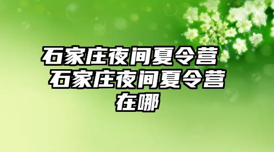 石家庄夜间夏令营 石家庄夜间夏令营在哪