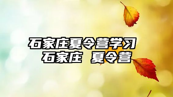 石家庄夏令营学习 石家庄 夏令营