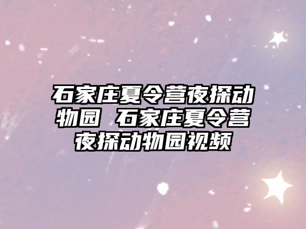 石家庄夏令营夜探动物园 石家庄夏令营夜探动物园视频