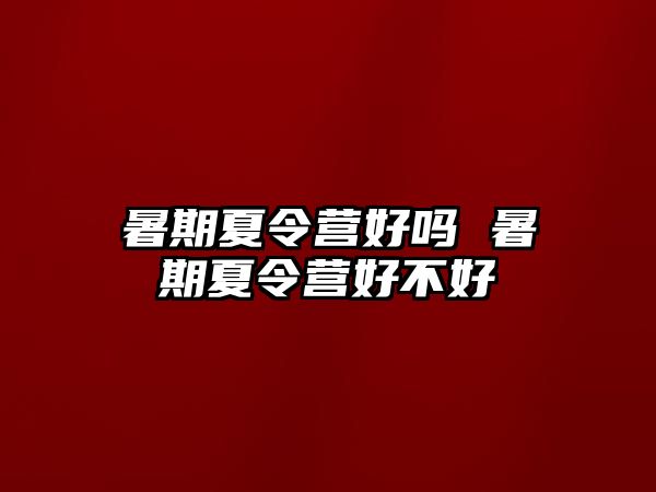 暑期夏令营好吗 暑期夏令营好不好