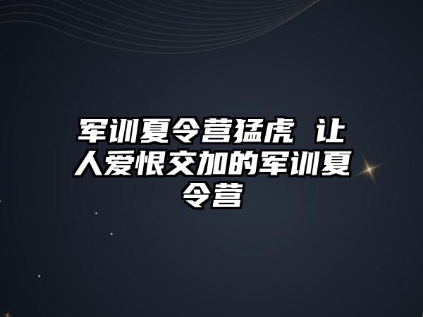 军训夏令营猛虎 让人爱恨交加的军训夏令营