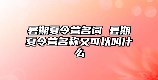 暑期夏令营名词 暑期夏令营名称又可以叫什么