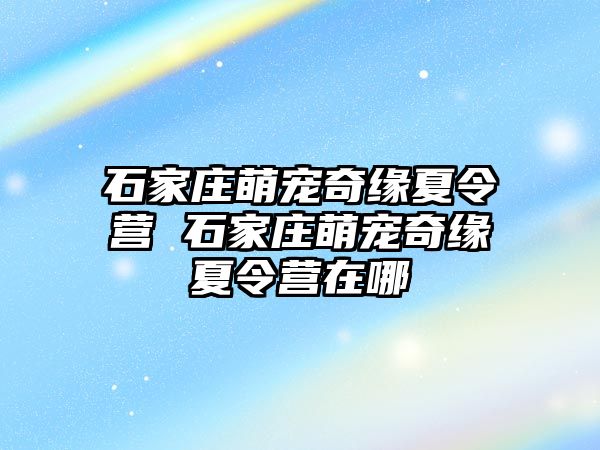 石家庄萌宠奇缘夏令营 石家庄萌宠奇缘夏令营在哪