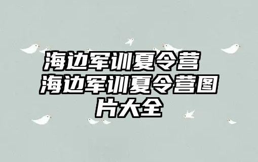 海边军训夏令营 海边军训夏令营图片大全