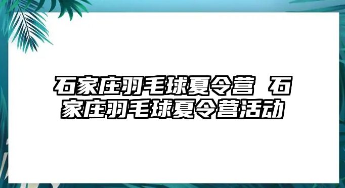 石家庄羽毛球夏令营 石家庄羽毛球夏令营活动