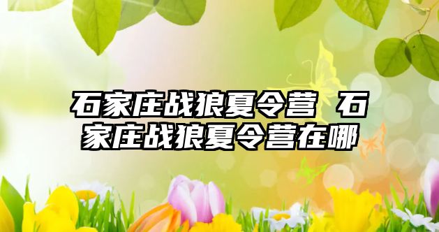 石家庄战狼夏令营 石家庄战狼夏令营在哪