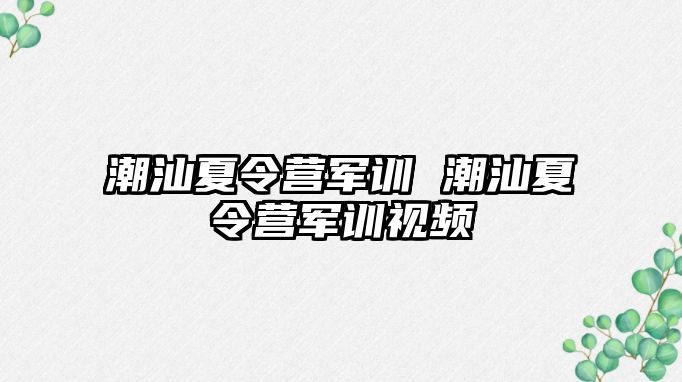 潮汕夏令营军训 潮汕夏令营军训视频