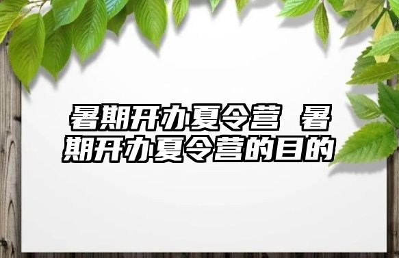 暑期开办夏令营 暑期开办夏令营的目的