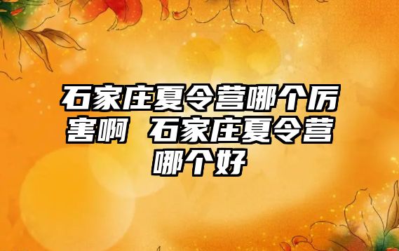 石家庄夏令营哪个厉害啊 石家庄夏令营哪个好