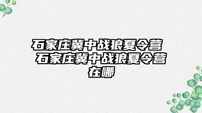 石家庄冀中战狼夏令营 石家庄冀中战狼夏令营在哪