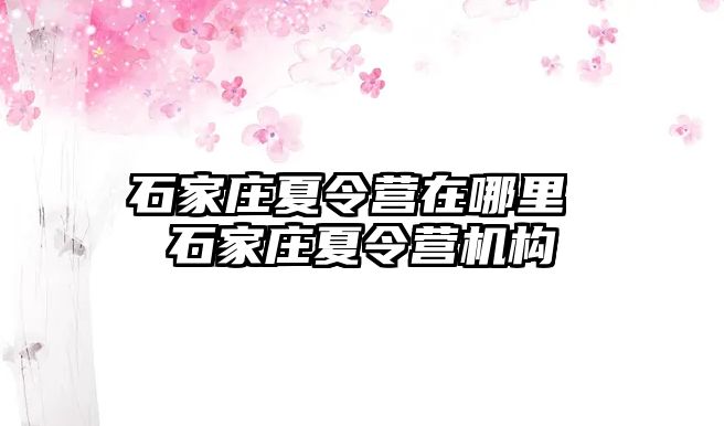 石家庄夏令营在哪里 石家庄夏令营机构