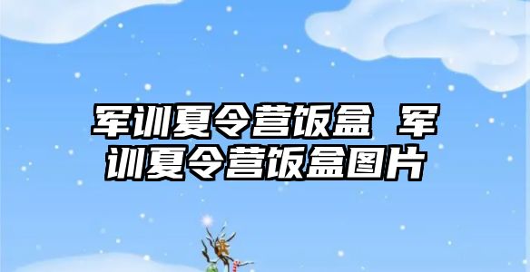 军训夏令营饭盒 军训夏令营饭盒图片