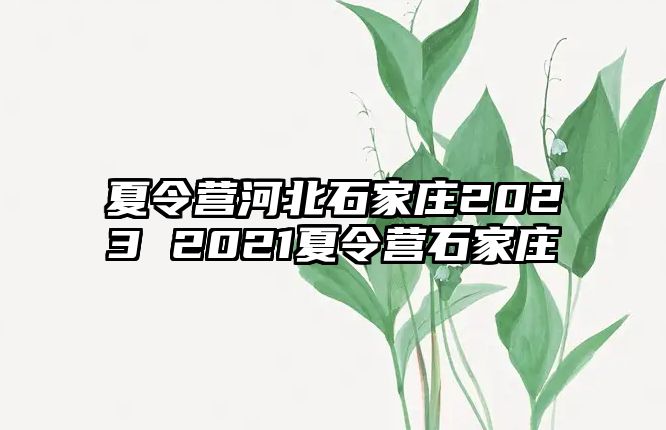 夏令营河北石家庄2023 2021夏令营石家庄