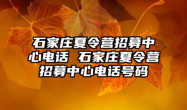 石家庄夏令营招募中心电话 石家庄夏令营招募中心电话号码