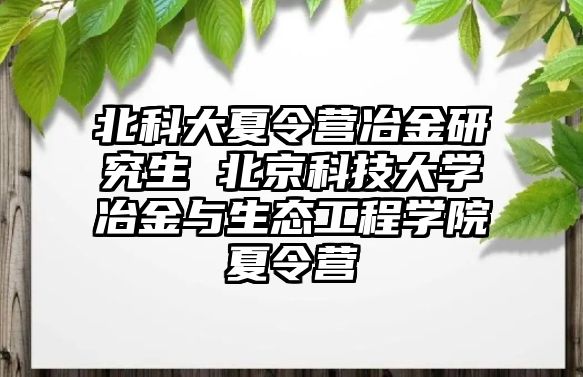 北科大夏令营冶金研究生 北京科技大学冶金与生态工程学院夏令营