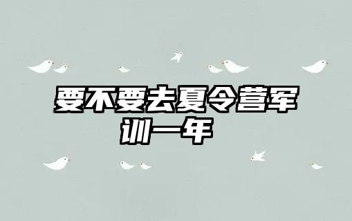 要不要去夏令营军训一年 