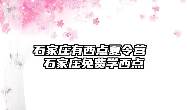 石家庄有西点夏令营 石家庄免费学西点