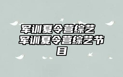 军训夏令营综艺 军训夏令营综艺节目