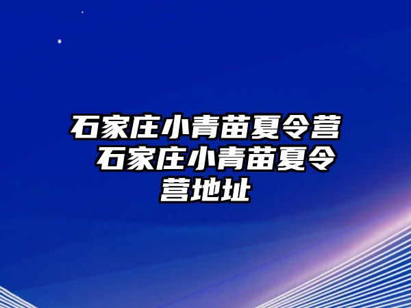 石家庄小青苗夏令营 石家庄小青苗夏令营地址