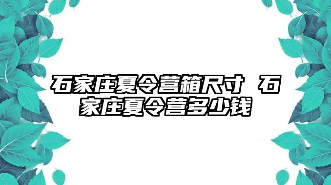 石家庄夏令营箱尺寸 石家庄夏令营多少钱