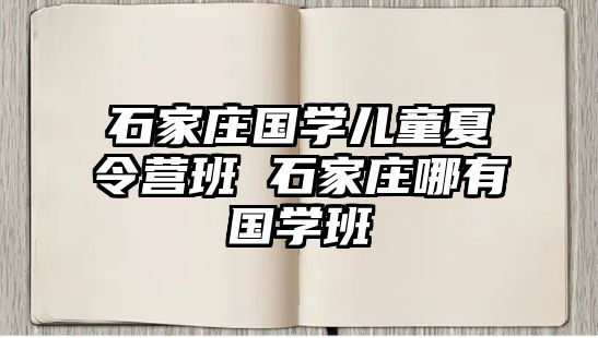 石家庄国学儿童夏令营班 石家庄哪有国学班