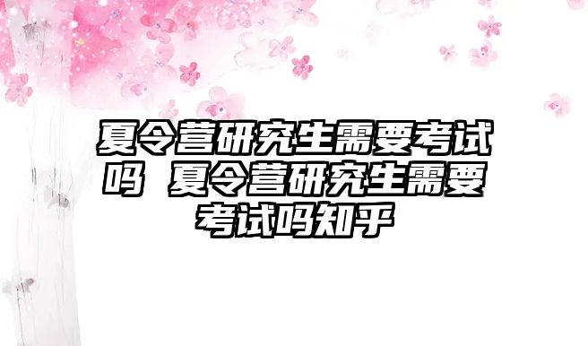 夏令营研究生需要考试吗 夏令营研究生需要考试吗知乎