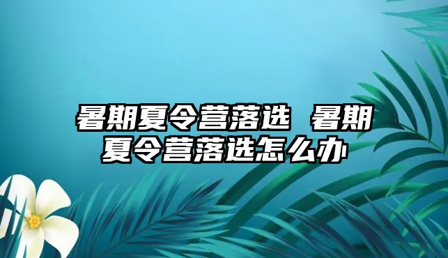 暑期夏令营落选 暑期夏令营落选怎么办