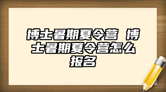 博士暑期夏令营 博士暑期夏令营怎么报名