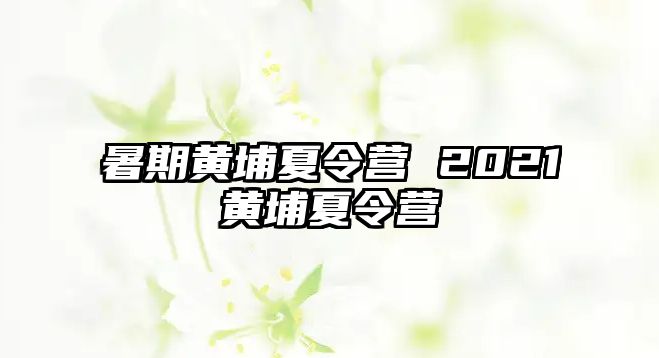 暑期黄埔夏令营 2021黄埔夏令营