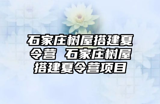 石家庄树屋搭建夏令营 石家庄树屋搭建夏令营项目