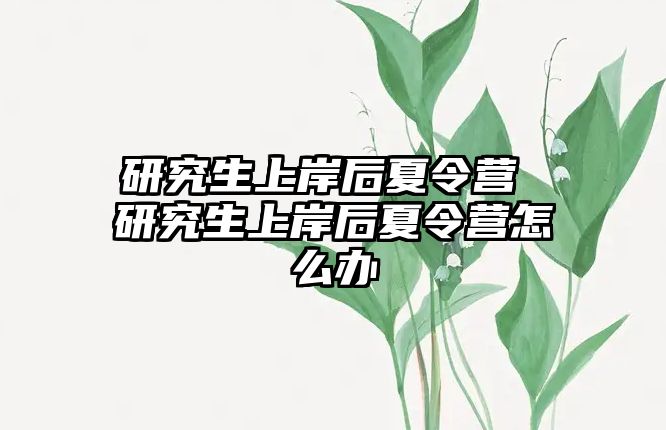 研究生上岸后夏令营 研究生上岸后夏令营怎么办