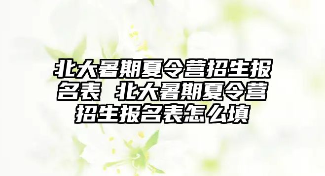 北大暑期夏令营招生报名表 北大暑期夏令营招生报名表怎么填