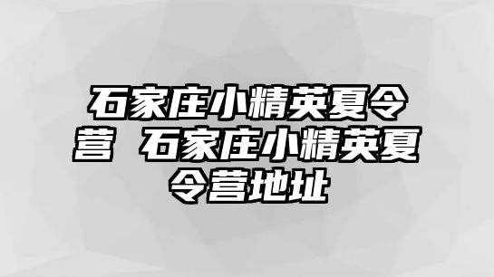 石家庄小精英夏令营 石家庄小精英夏令营地址