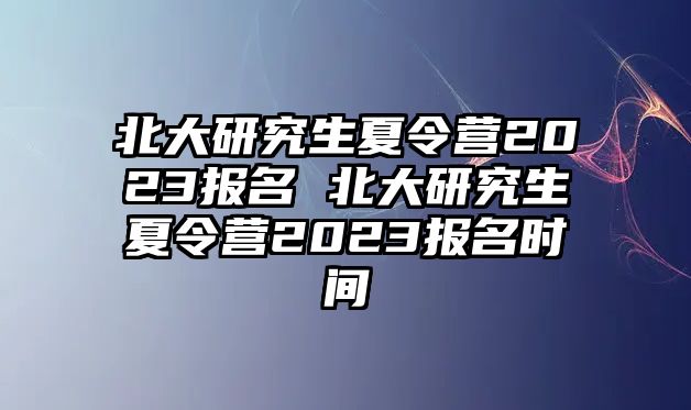 北大研究生夏令营2023报名 北大研究生夏令营2023报名时间