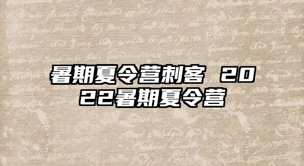 暑期夏令营刺客 2022暑期夏令营