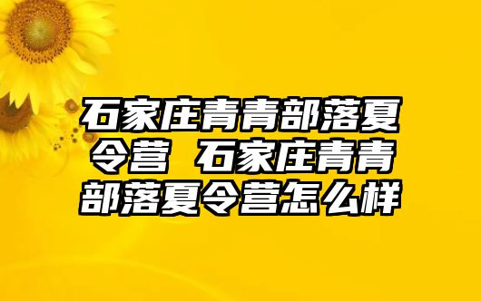 石家庄青青部落夏令营 石家庄青青部落夏令营怎么样