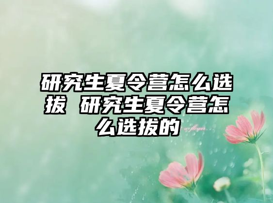 研究生夏令营怎么选拔 研究生夏令营怎么选拔的