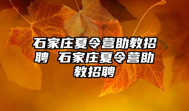 石家庄夏令营助教招聘 石家庄夏令营助教招聘