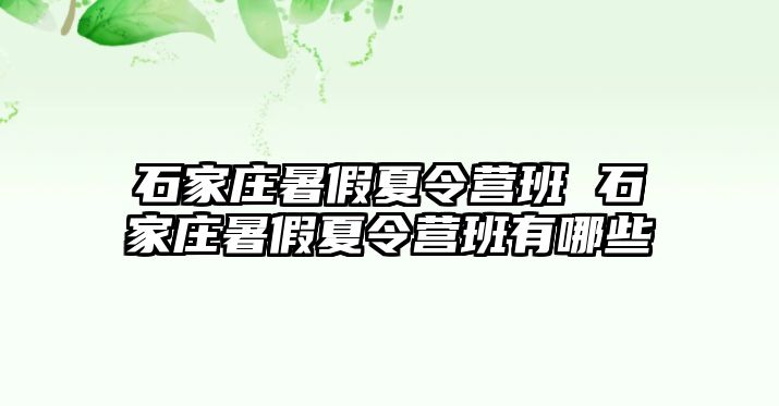 石家庄暑假夏令营班 石家庄暑假夏令营班有哪些